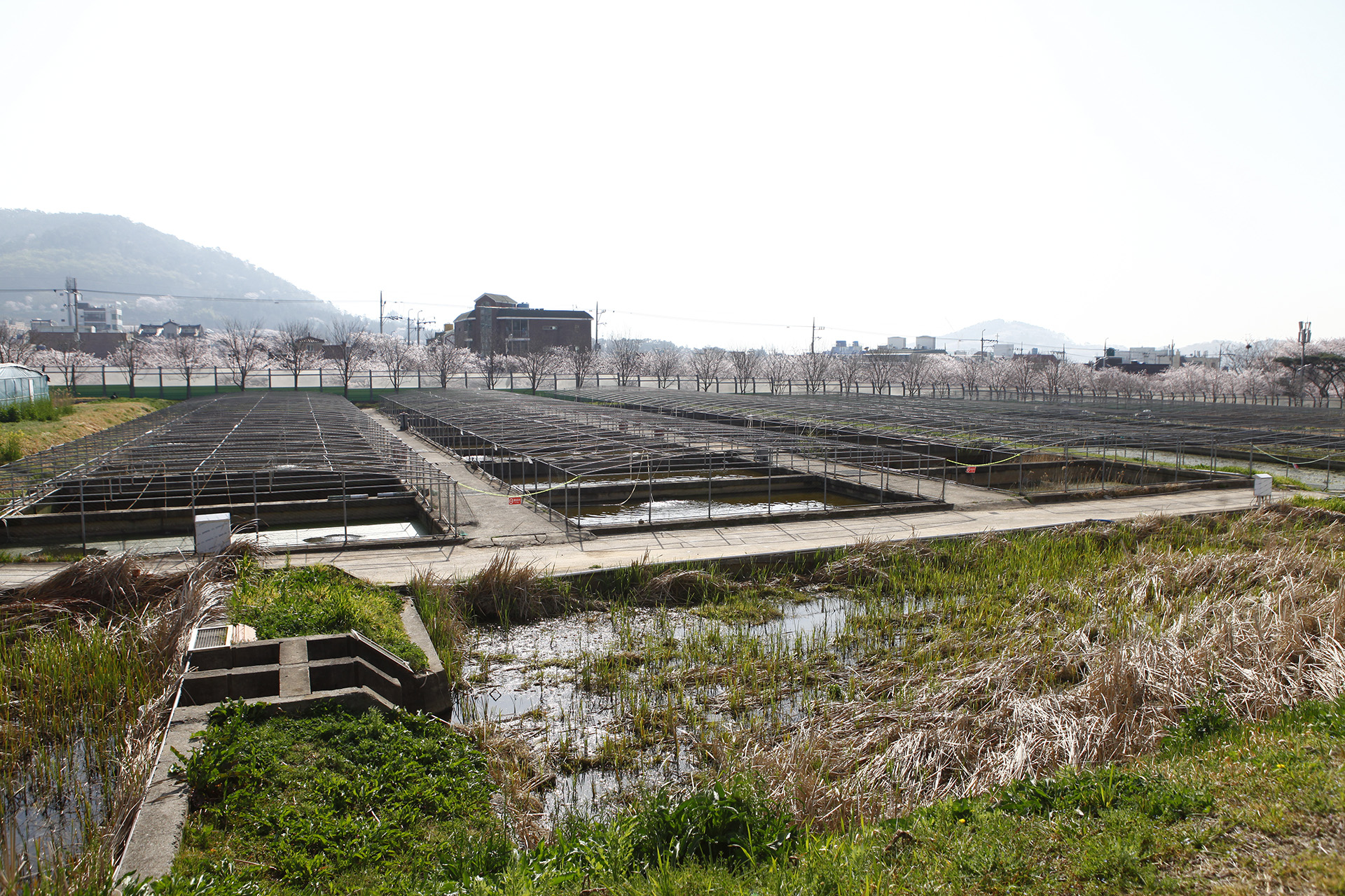  내수면양식연구센터