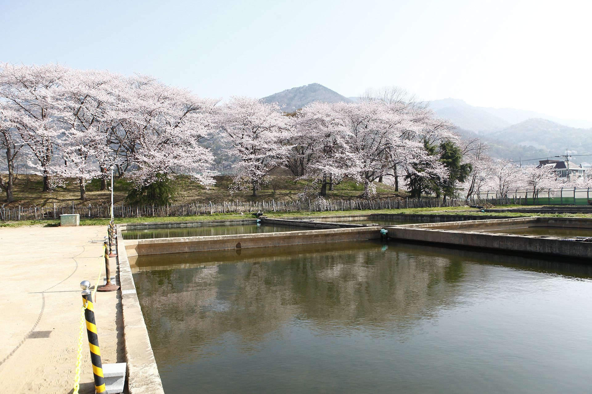  내수면양식연구센터