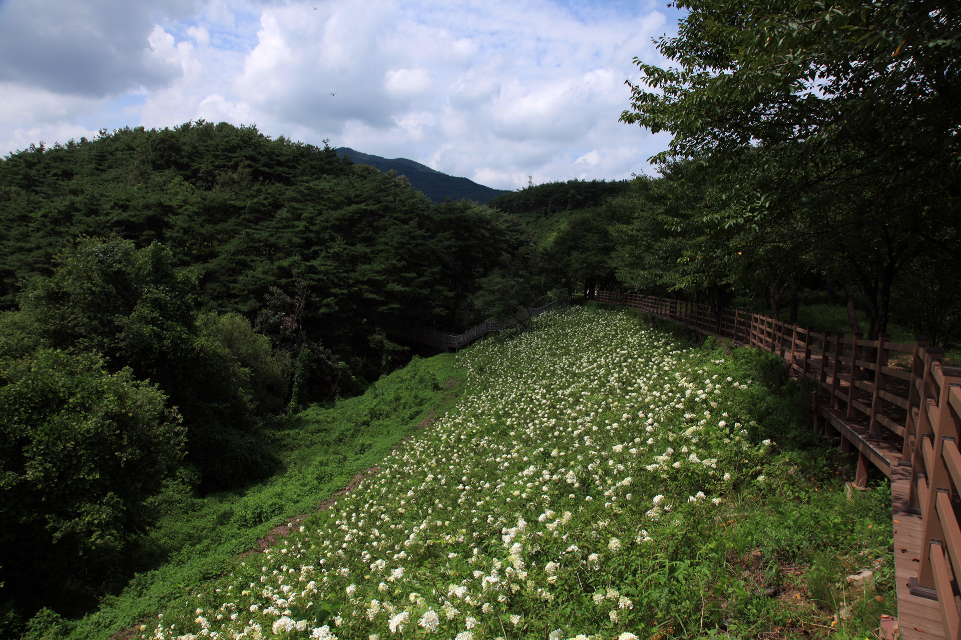 합천군청소년수련관