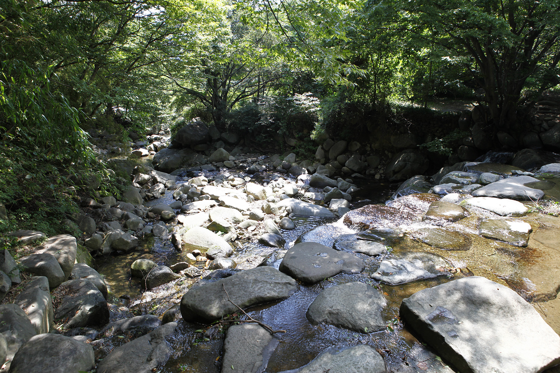 대장동 계곡 유원지
