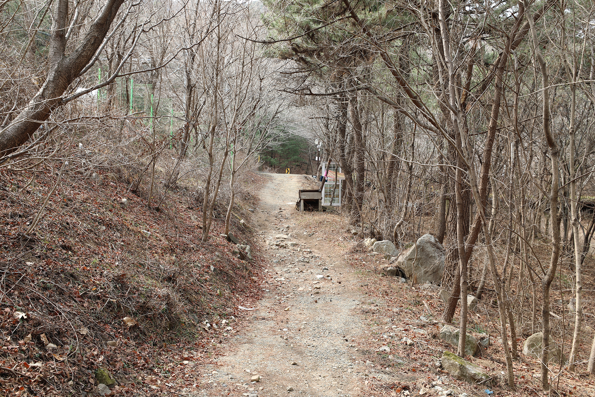 창원시 MTB 코스