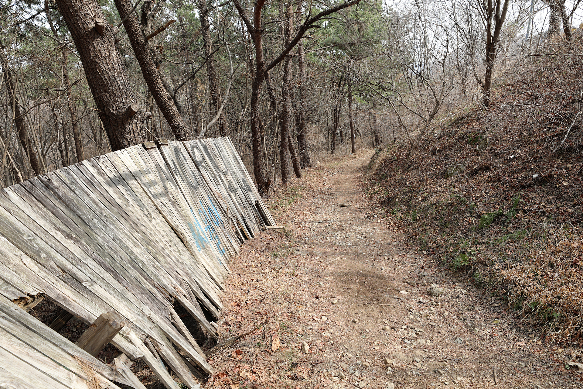 창원시 MTB 코스