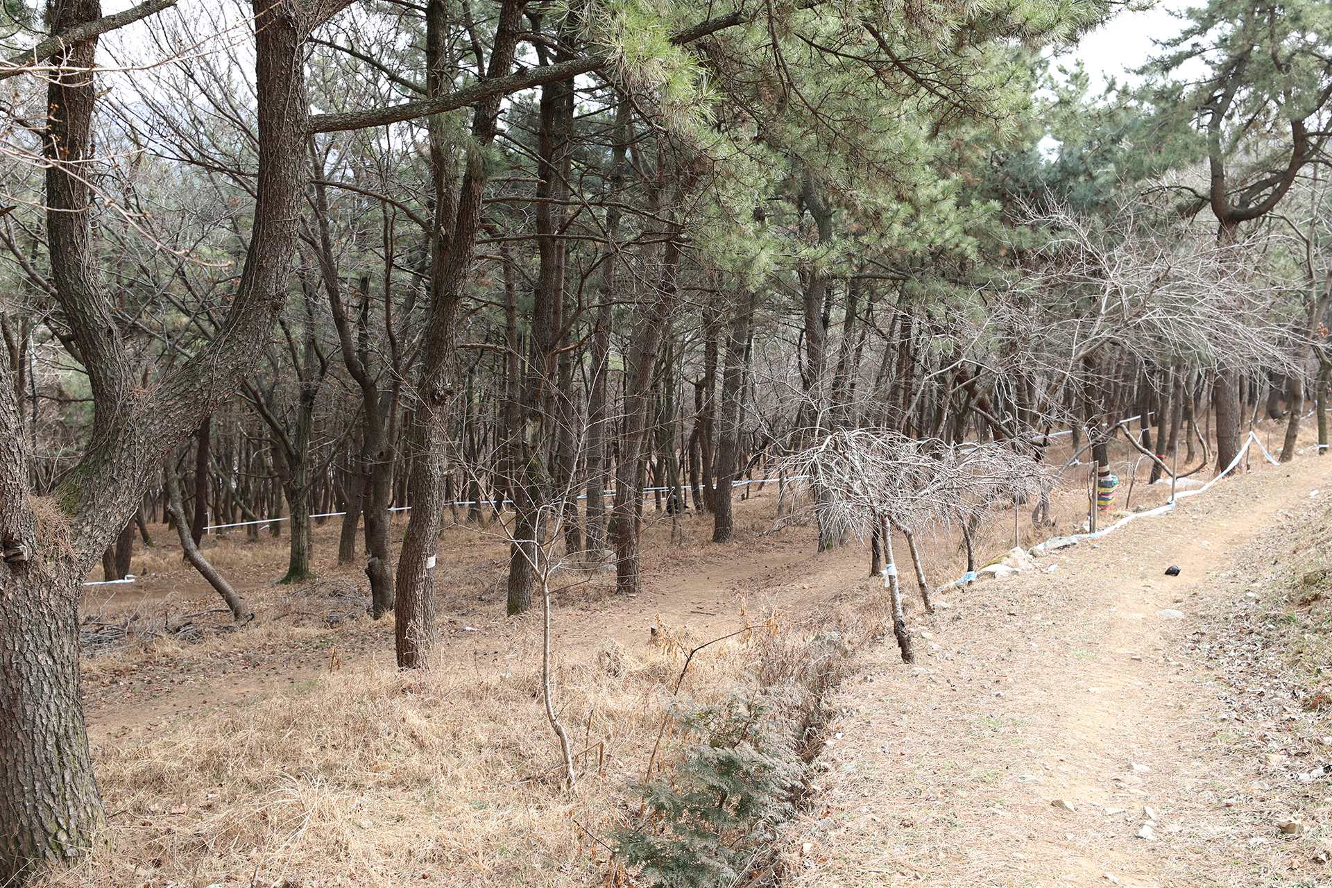 창원시 MTB 코스