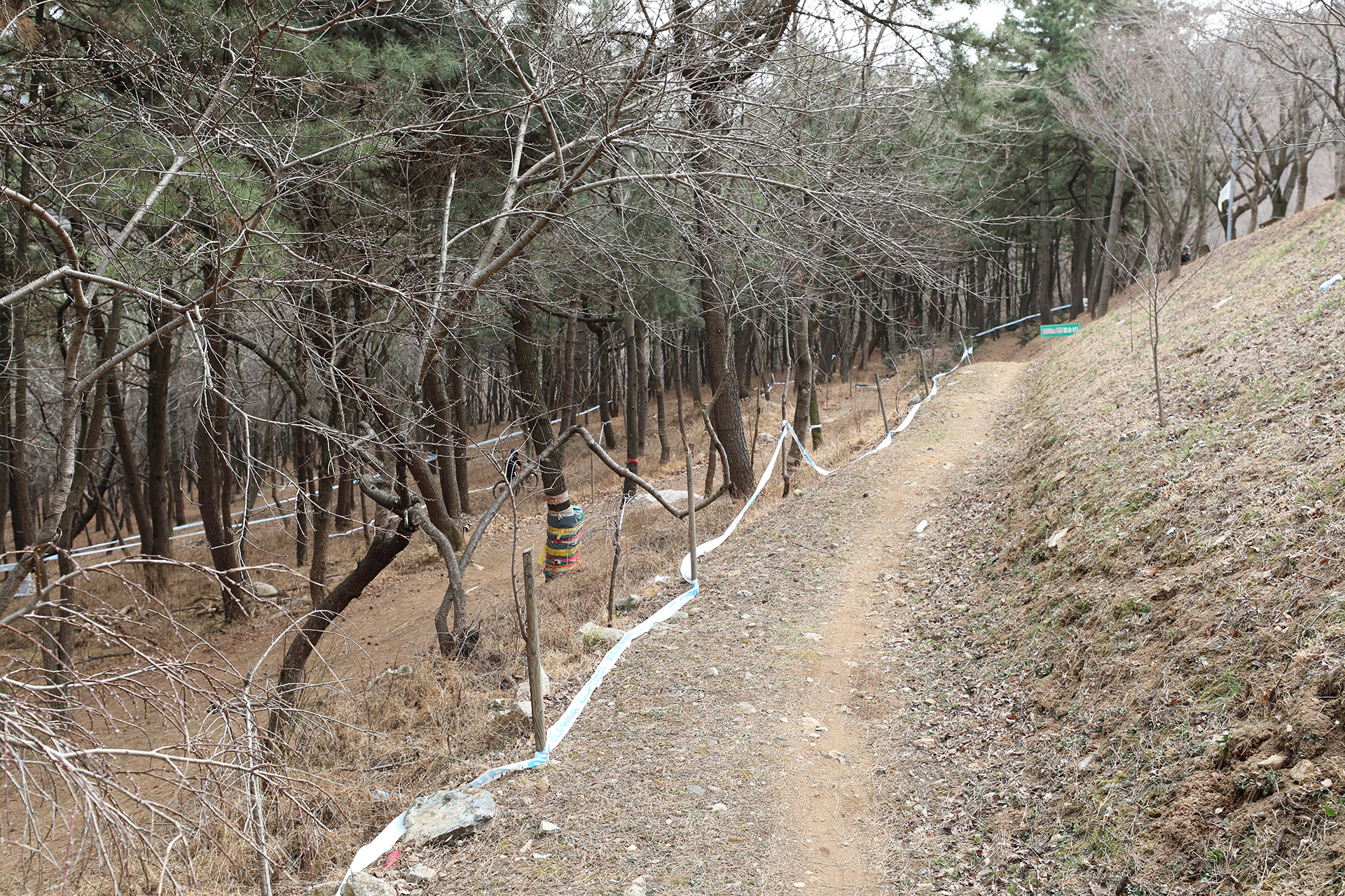 창원시 MTB 코스