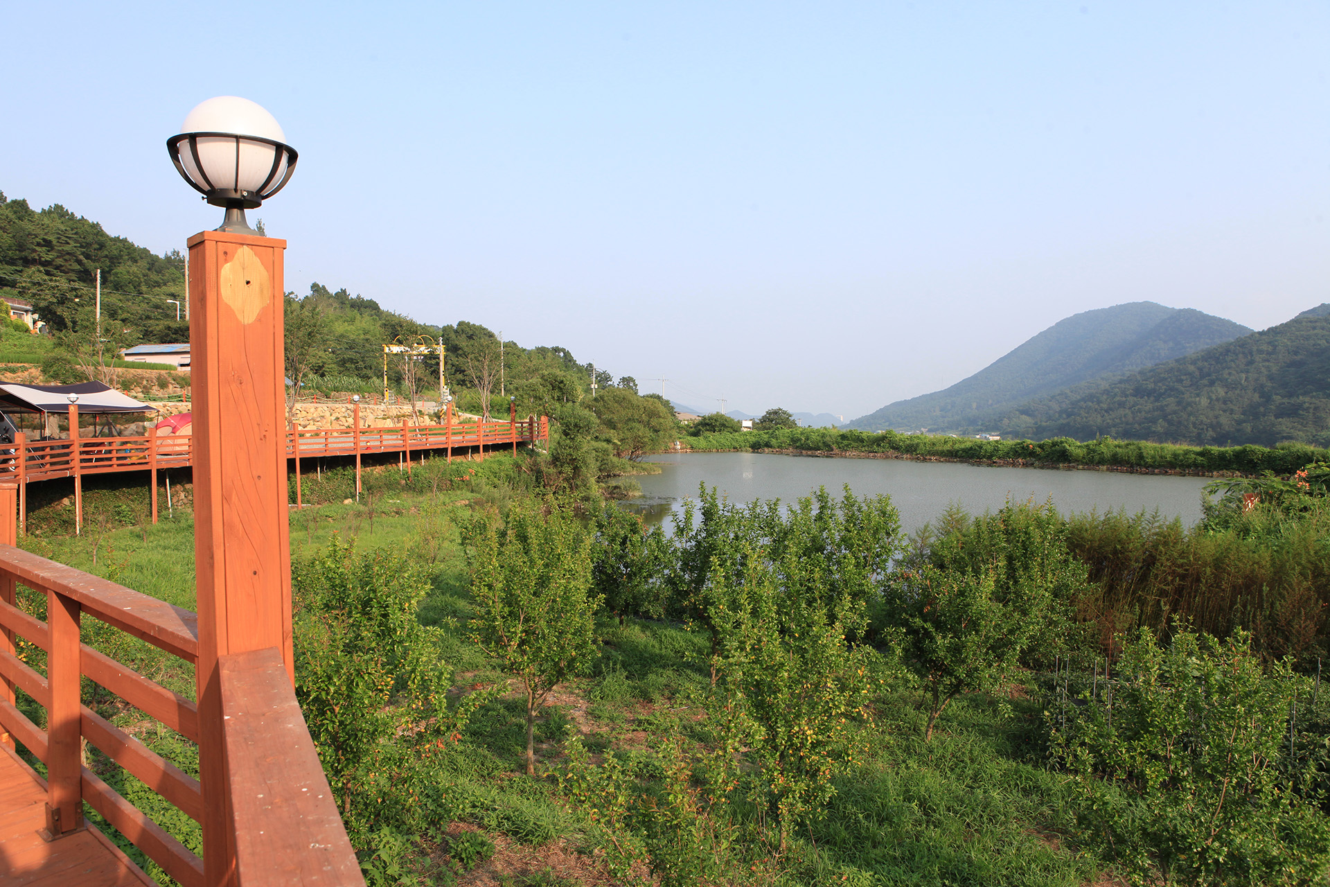 진북편백골관광농원 캠핑장