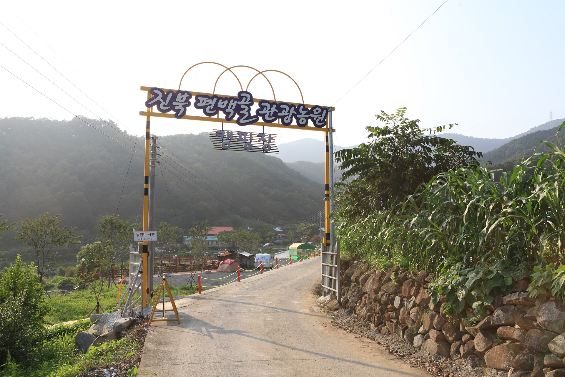 진북편백골관광농원 캠핑장