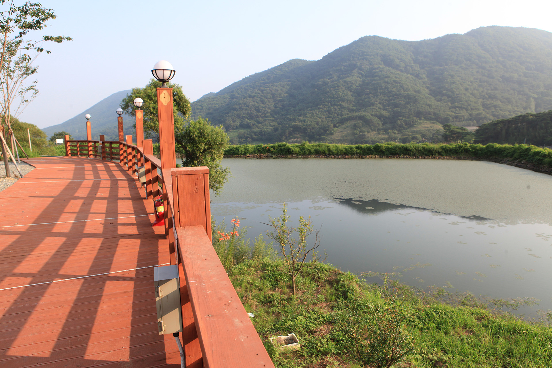 진북편백골관광농원 캠핑장