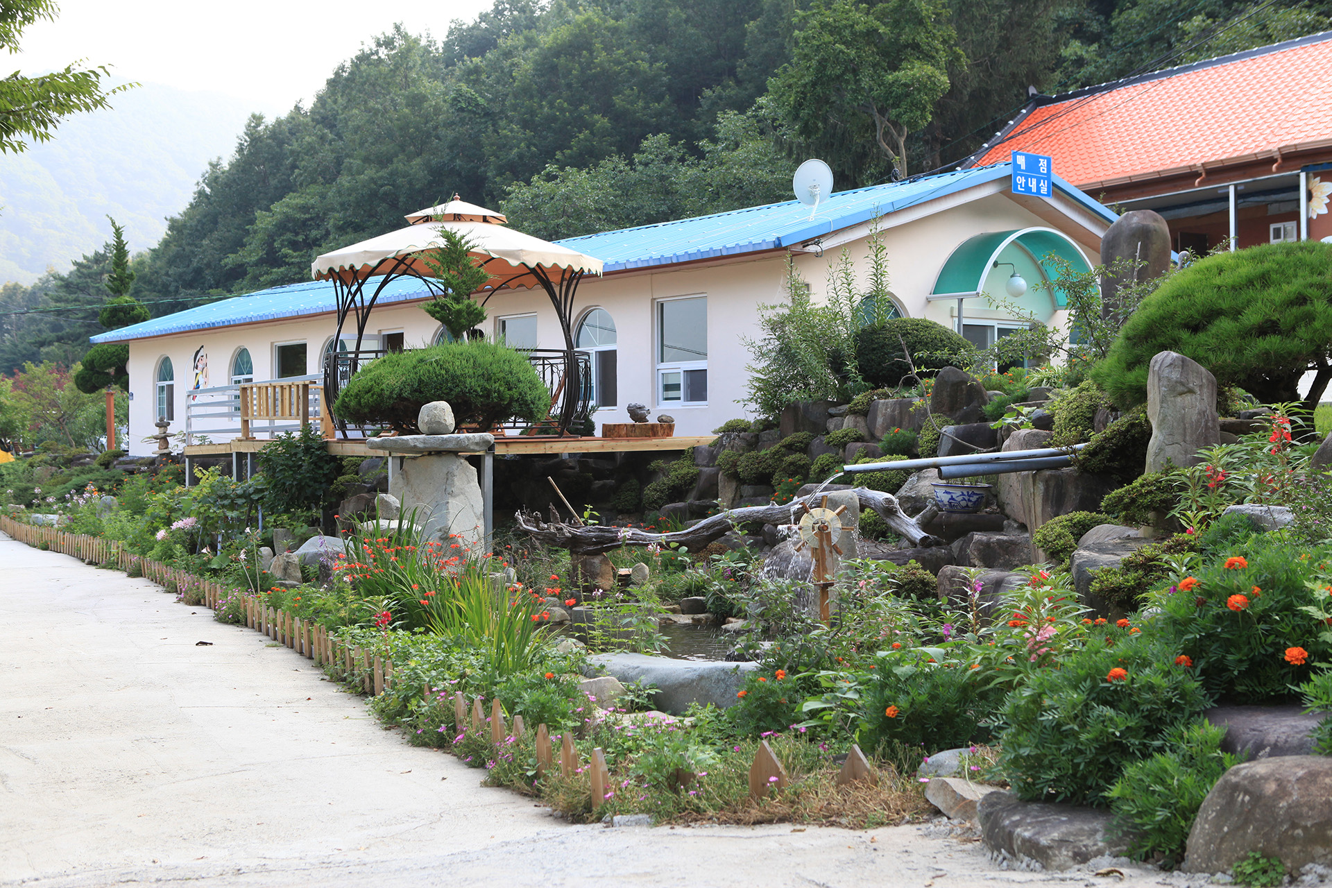 진북편백골관광농원 캠핑장