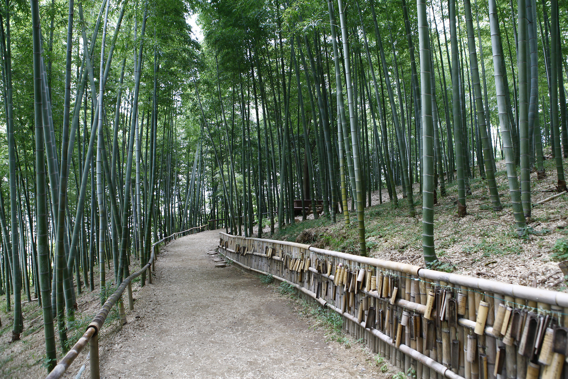 거제맹종죽테마공원