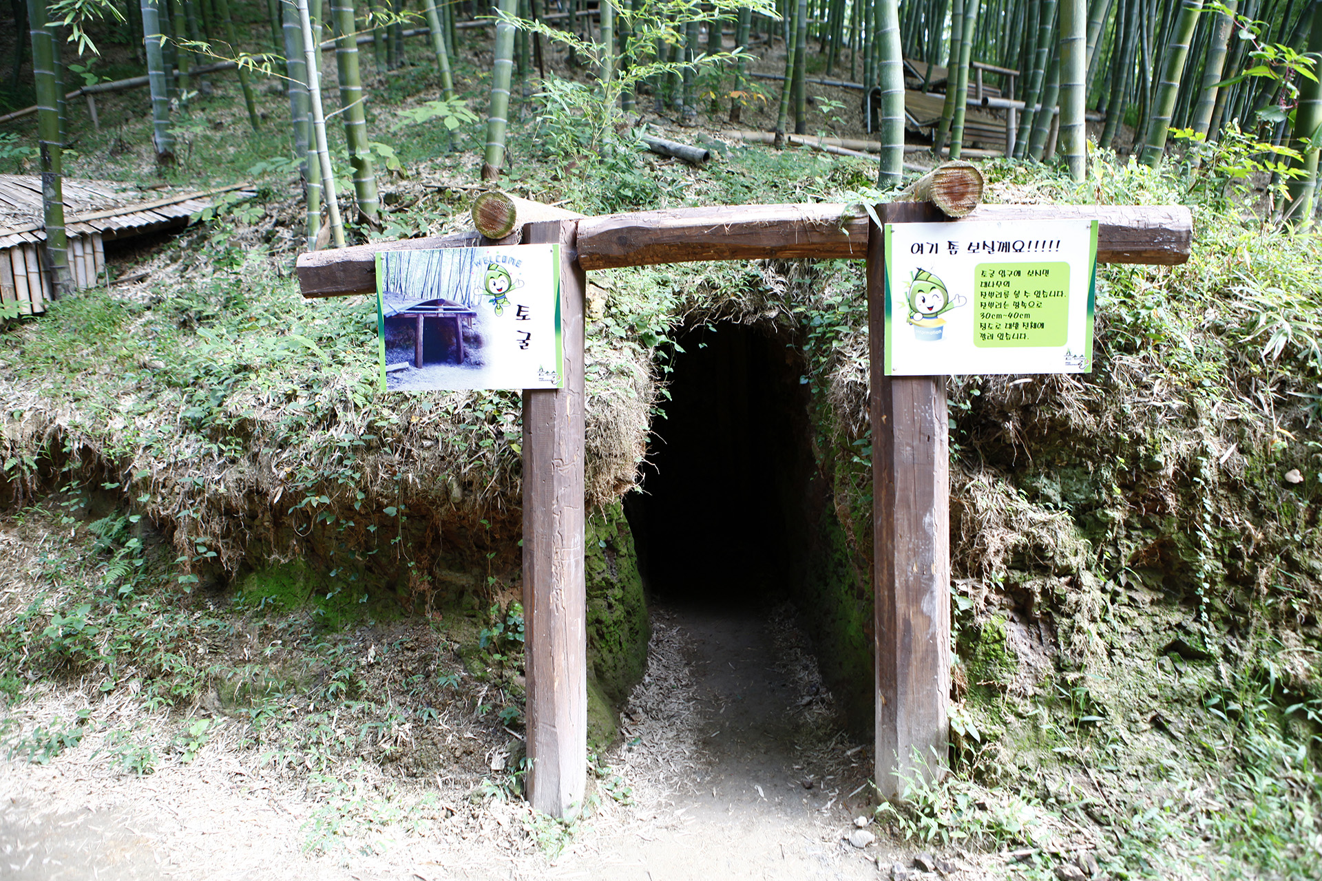 거제맹종죽테마공원