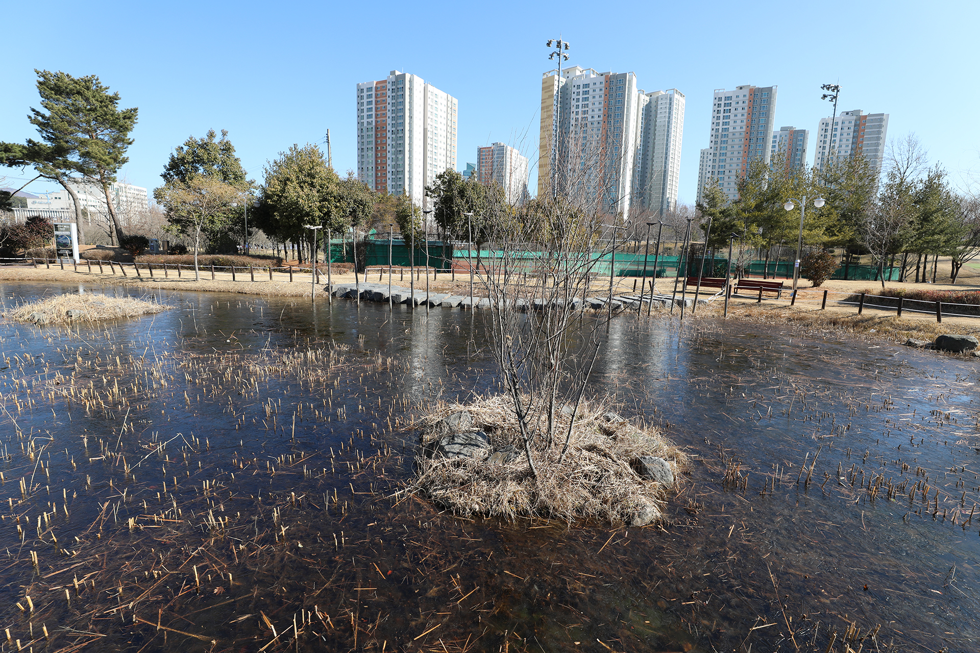 람사르생태공원