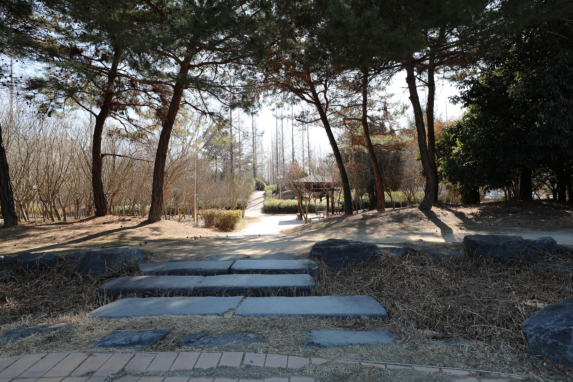 람사르생태공원