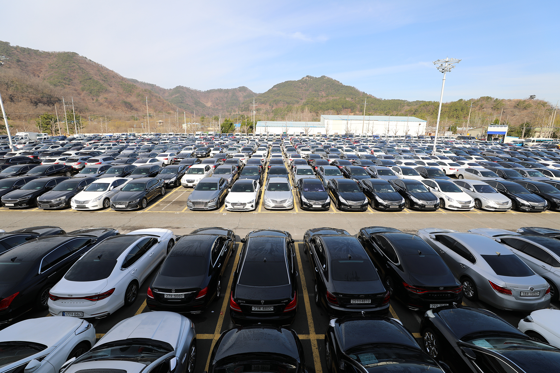 천차만차 중고차판매장