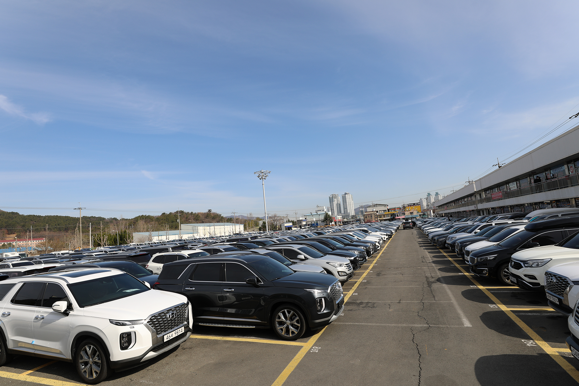 천차만차 중고차판매장