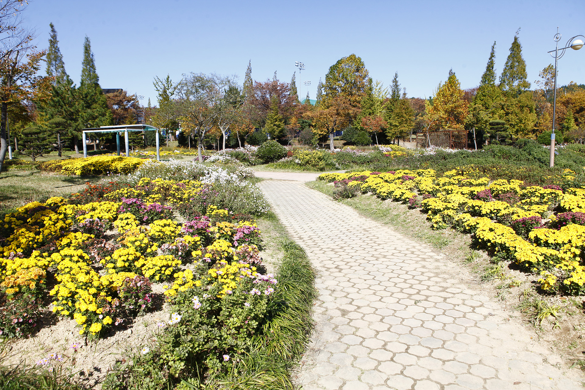 국화공원