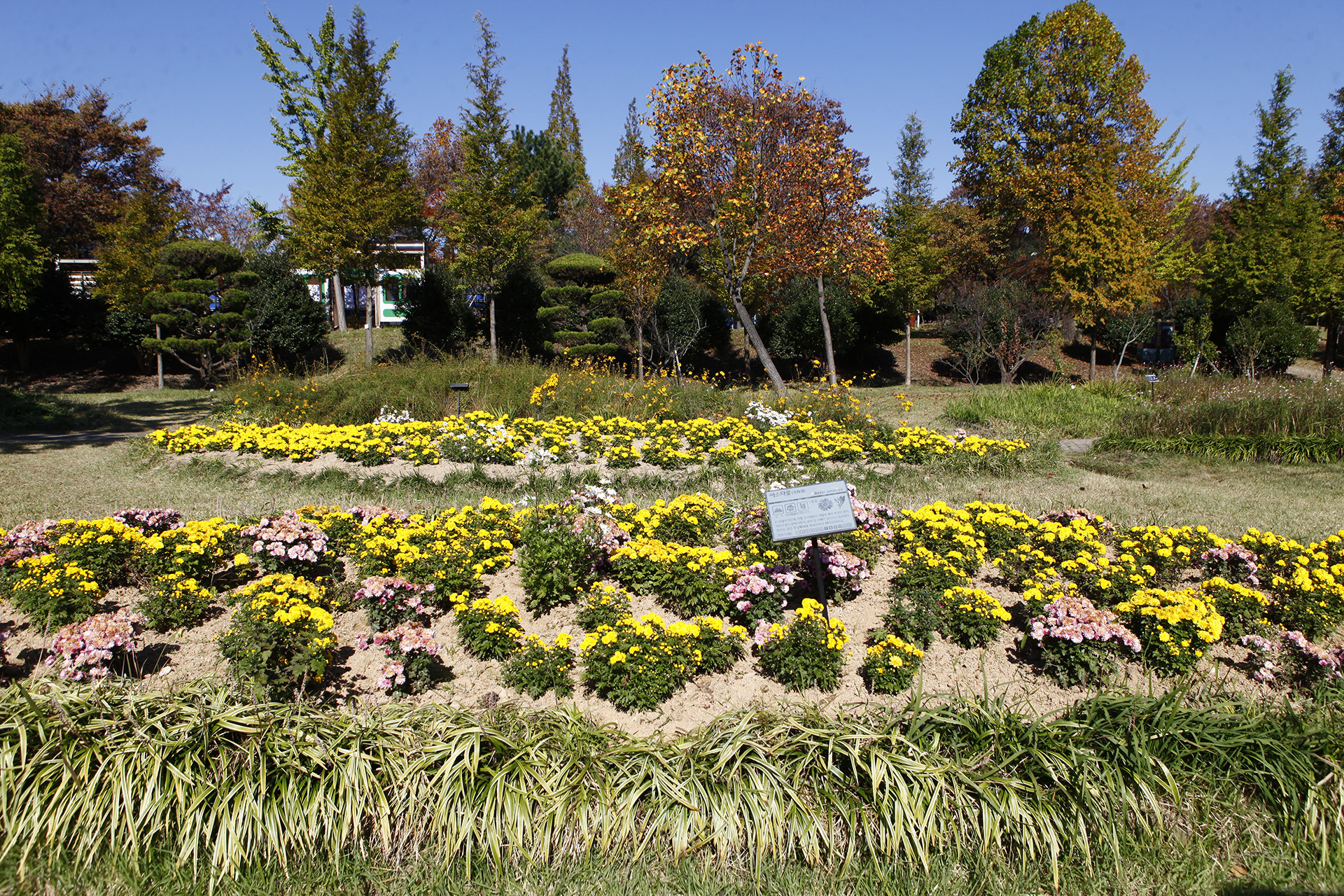 국화공원
